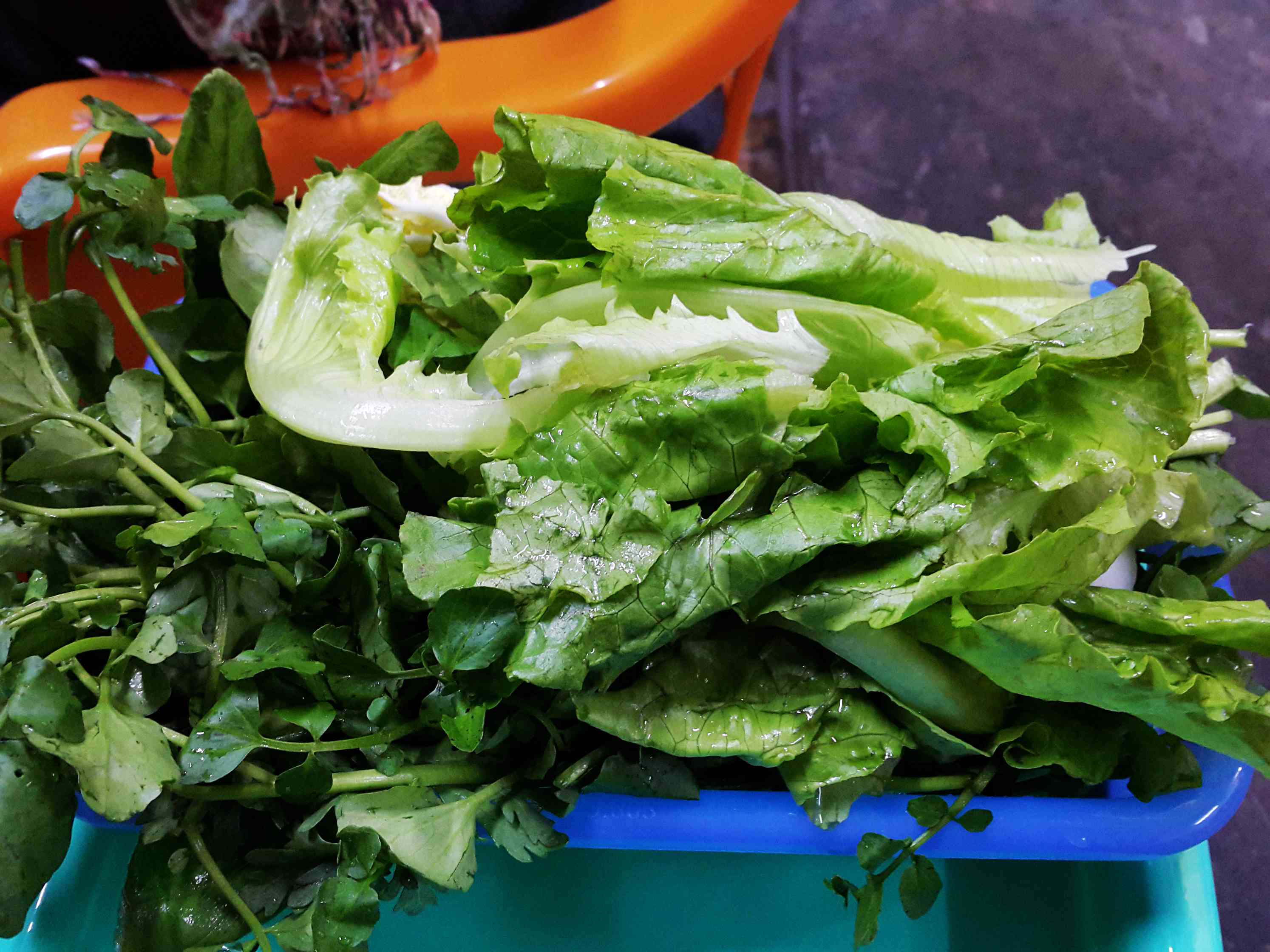 杂青菜,生料都有架子摆放,挺方便的