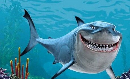 女神经病最喜欢吃的北海鱼之不正经解说药不能停啊亲