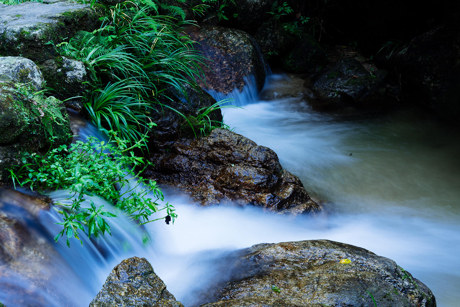 潺潺溪流 幽幽水韵