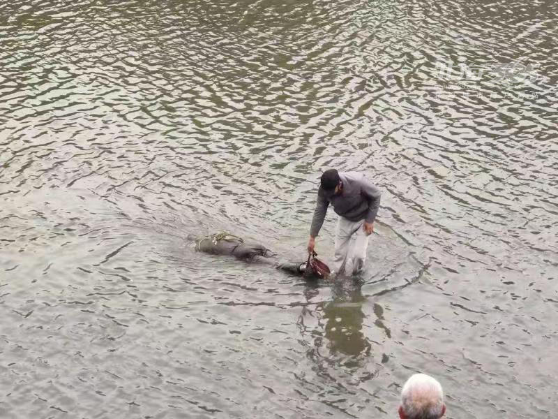 刚刚!合浦西门江发现一具浮尸,现场已封锁
