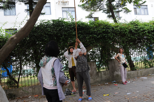 小学门前摘果子折断树枝果核随地吐,对孩子的影响不好啊!(有图有真相)