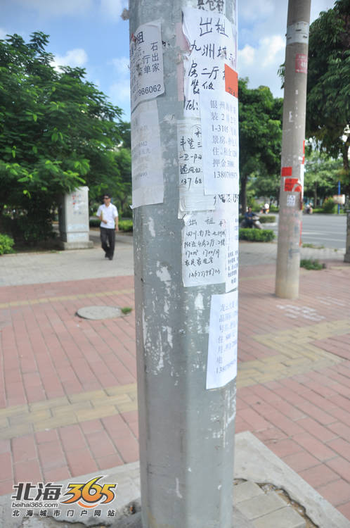 晒晒北海"小广告牌"(牛皮藓),竟有人出售——白粉(有图)