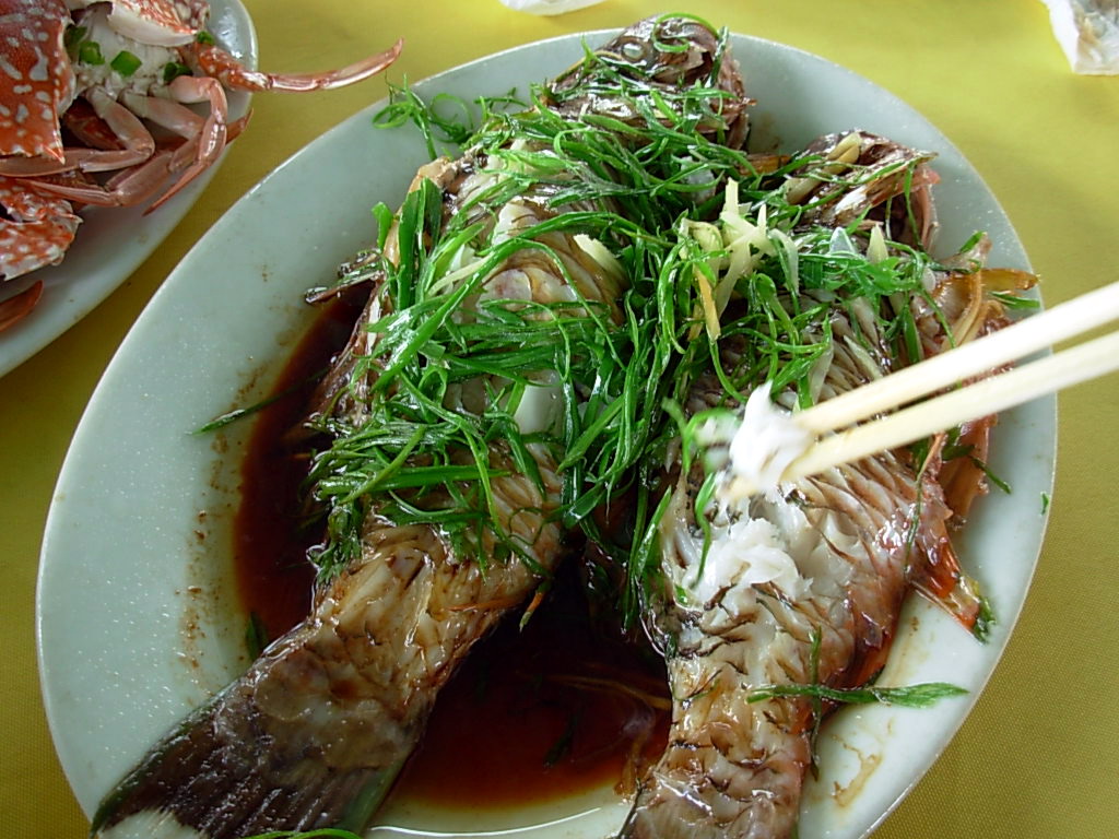 (观海景,品海鲜,组图)