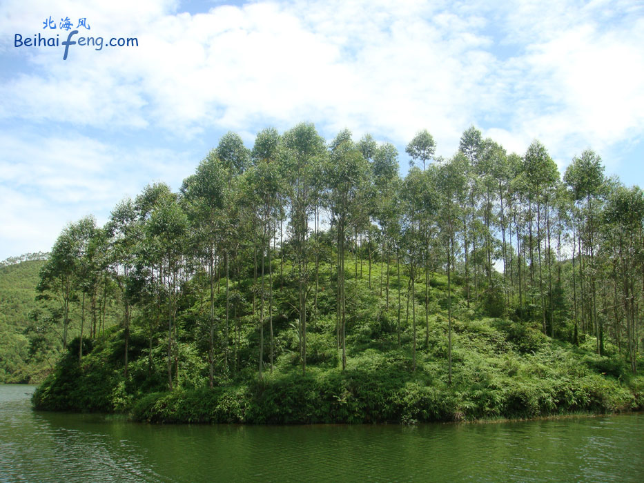 旺盛江水库一景