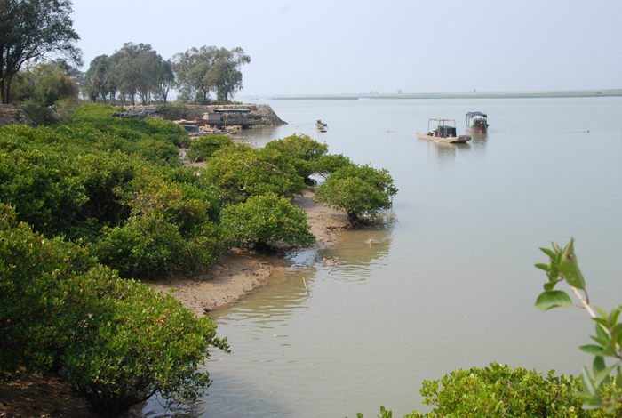 08【北海交行杯】--- 七星岛鸭戏图