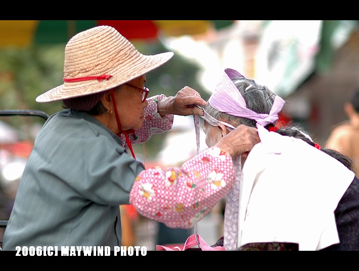 拔面毛--合浦见闻