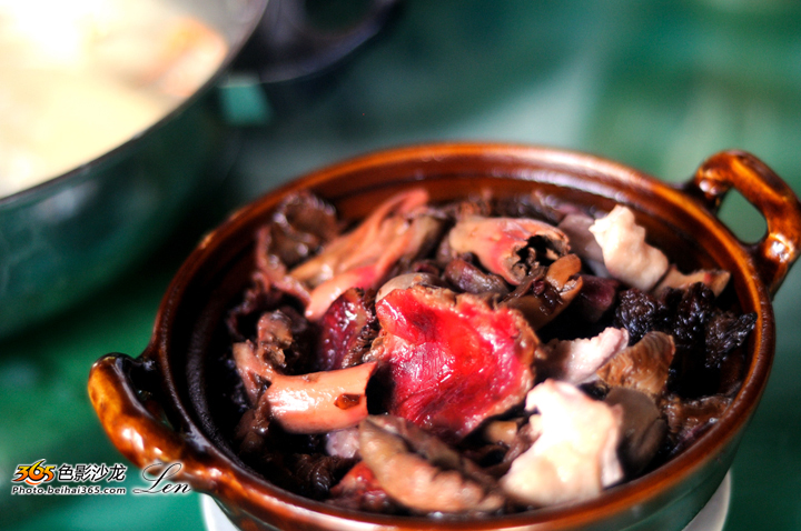 色影沙龙采风活动——张黄行