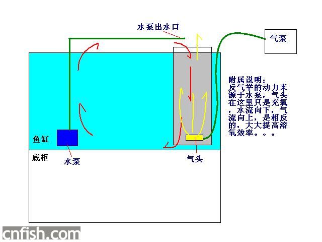 鱼缸侧循环安装示意图图片