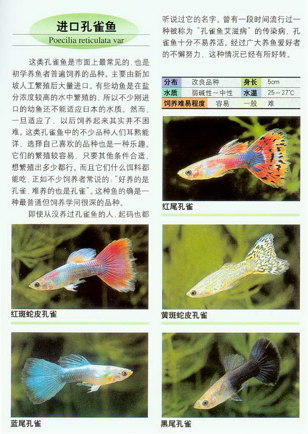 中国原生观赏鱼图鉴pdf图片