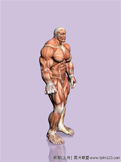 找一个168以上,年龄在19-28岁之间的女孩子