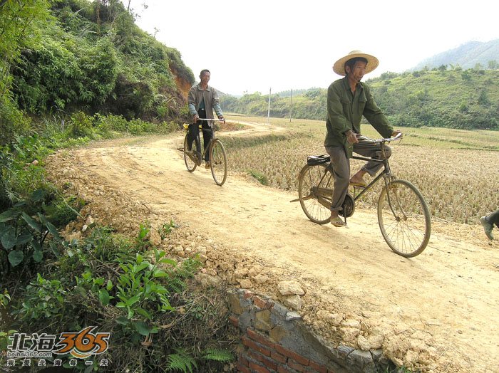 9]一条"难产"了几十年的乡间小路饱含几代人的辛酸期盼如今依旧难行