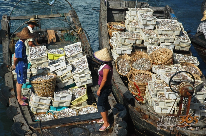 休渔后第一批渔船的满载而归