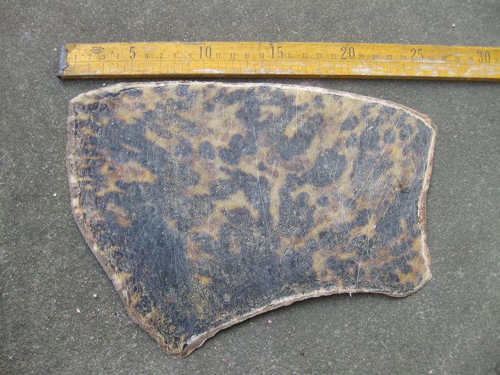 现传上图片,请有识之士鉴别(此片东西是向小孩索要的):貌似玳瑁鳞片.