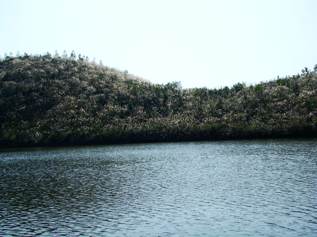 南国星岛湖一日游,大家看下星岛湖现在是否变了(多图)