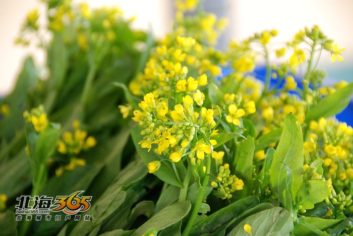 31】给蔬菜洗个"放心澡" 参观北海蔬菜配送中心 看蔬菜"净身"全过程