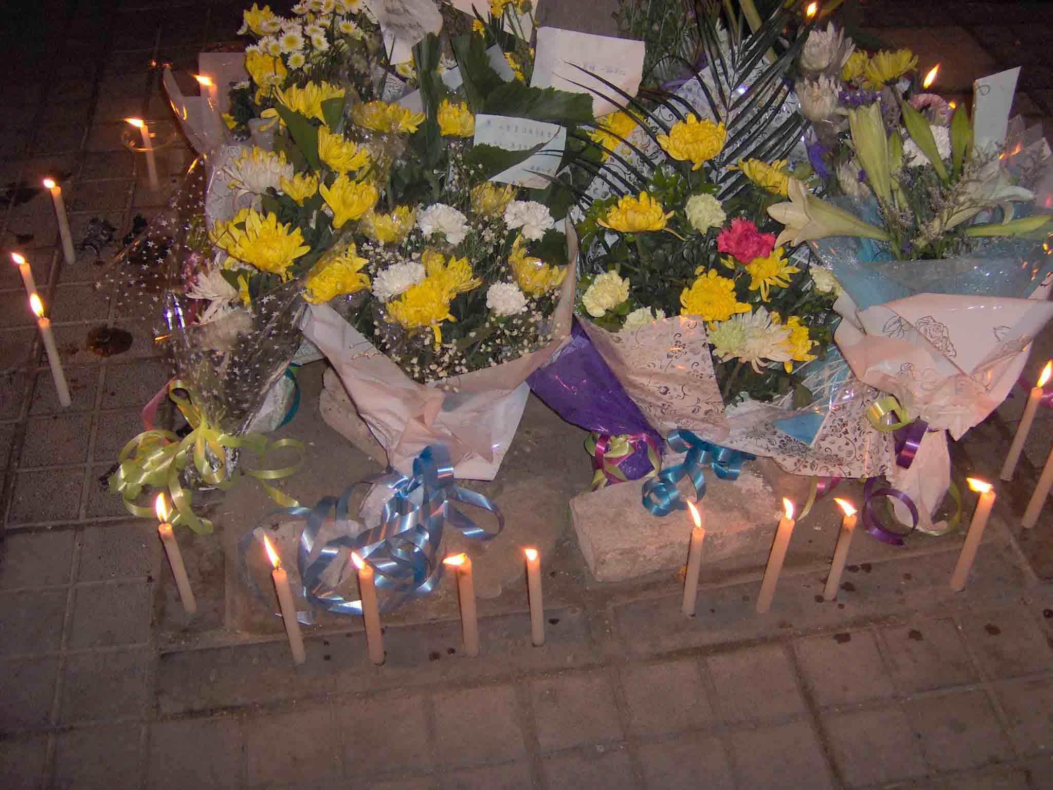 我的曲,为你安魂!