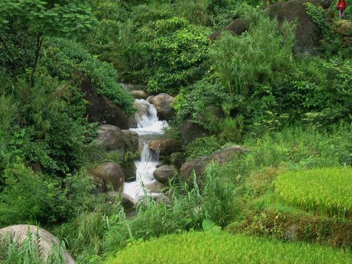 容县松山镇大水村风光
