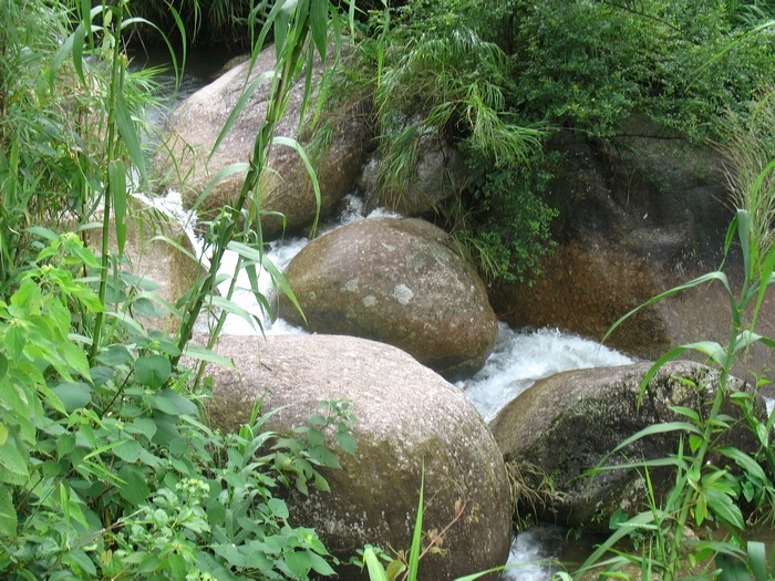 容县松山镇大水村风光