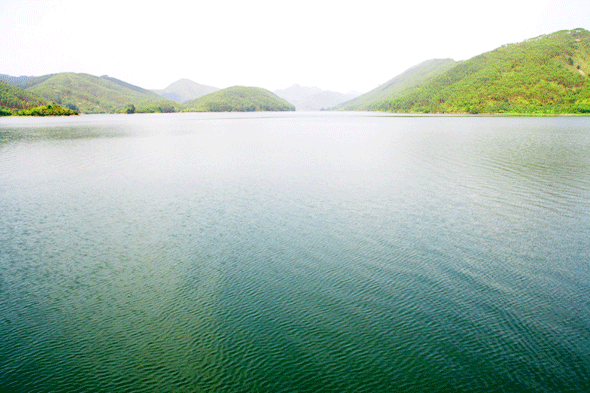 五月红树林和曲樟陈铭枢故居,六湖水库游(组图连载)