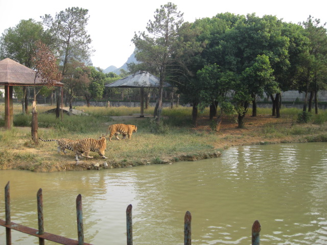 游桂林雄森熊虎山庄