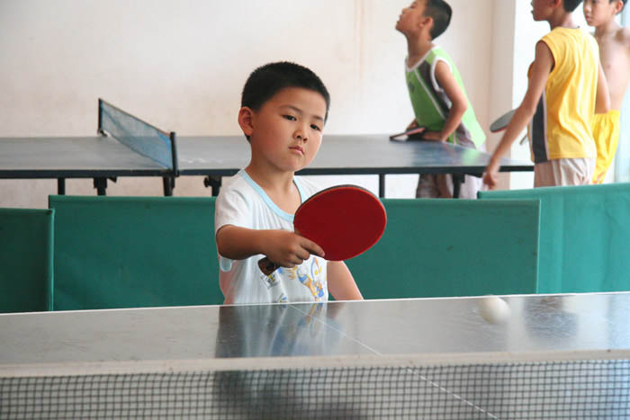 合浦县 "六·一" 荣华杯幼儿,小学生乒乓球赛圆满结束(附获奖名单与pp