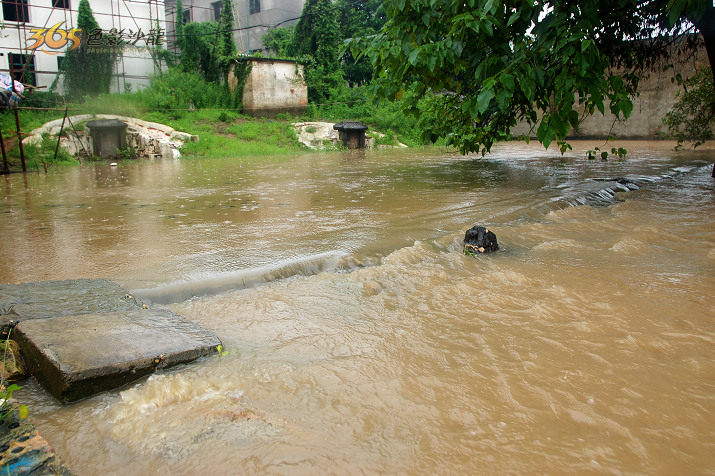 [08.07.12]县城局部水情--西门江逼近危险水位 廉南内涝严重