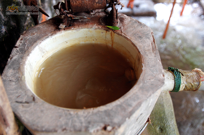 村民家中的摇井,超高的水位将江水从井口喷涌压出,成了"自来水".