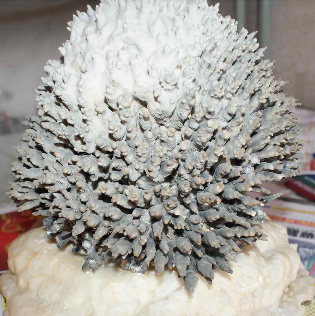 出售一些天然钟乳石观赏品和天然玫瑰色玛瑙