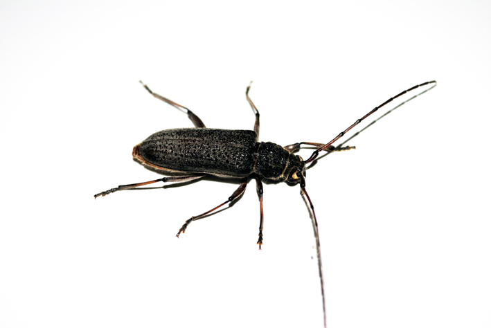 【我想学摄影】