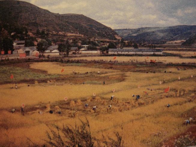 回忆战火年代远去的故事(革命老照之延安篇)