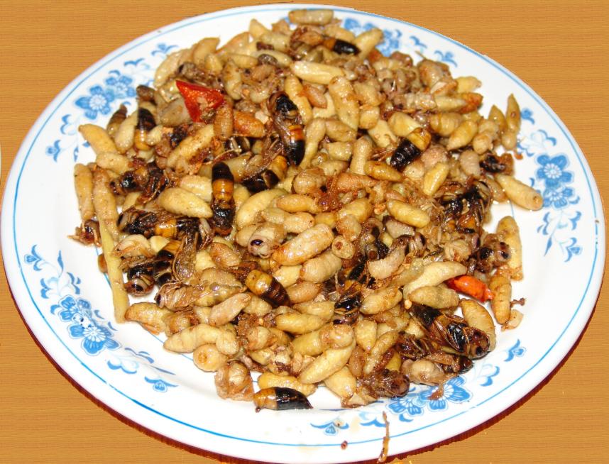 百色乐业县布柳河仙人桥风光——帮"地动先知"上传(第8楼增加乐业美食