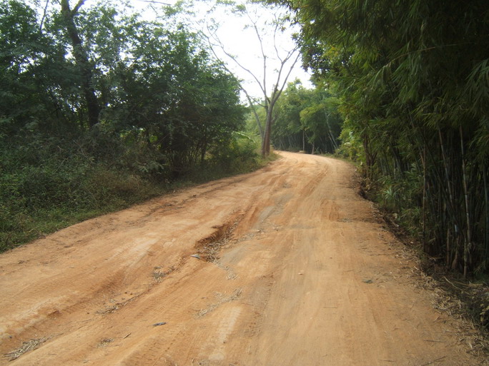 这就是进我们老家的黄泥路,凹凸不平,坐在车上一颠一簸的,开惯城市