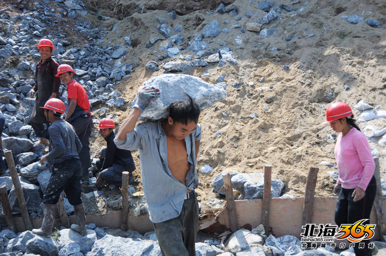 电建渔港石墙农民搬运工贵州来的他们每天扛石块万斤重搬的是对家的