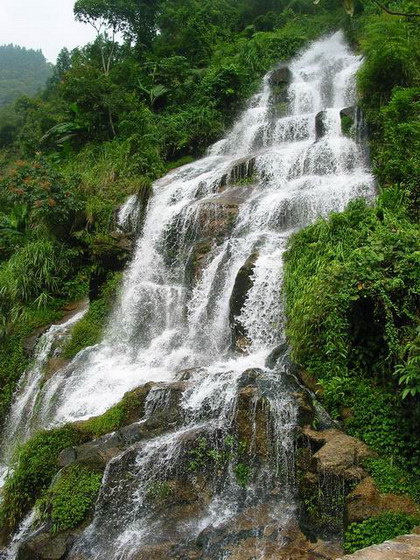 美丽的九万山原始森林