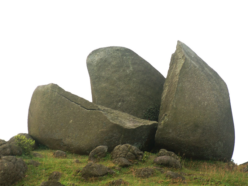 三瓣石又叫莲花石,是个有故事的石头,想知道的话可以给我留言
