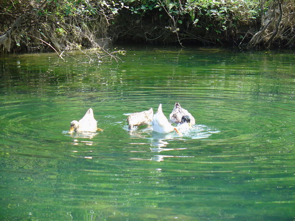 环江——茂兰行随拍