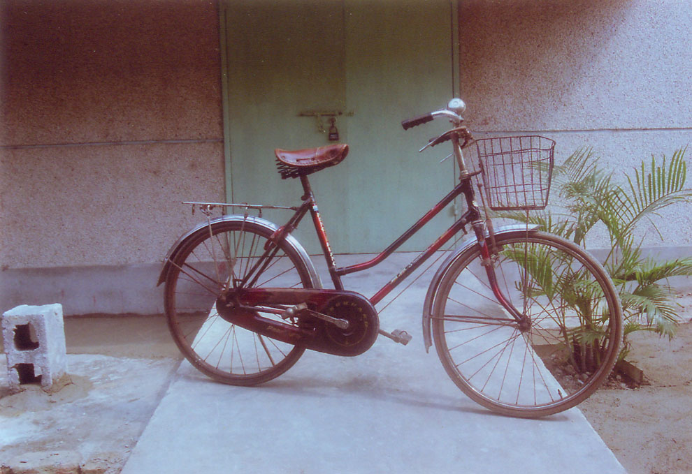 90年代女式自行车图片