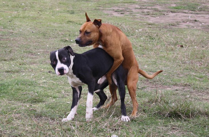 北海市民扯蛋孩儿全部评论:最赞|最新↑引用回复主楼2010-02-28 22:50