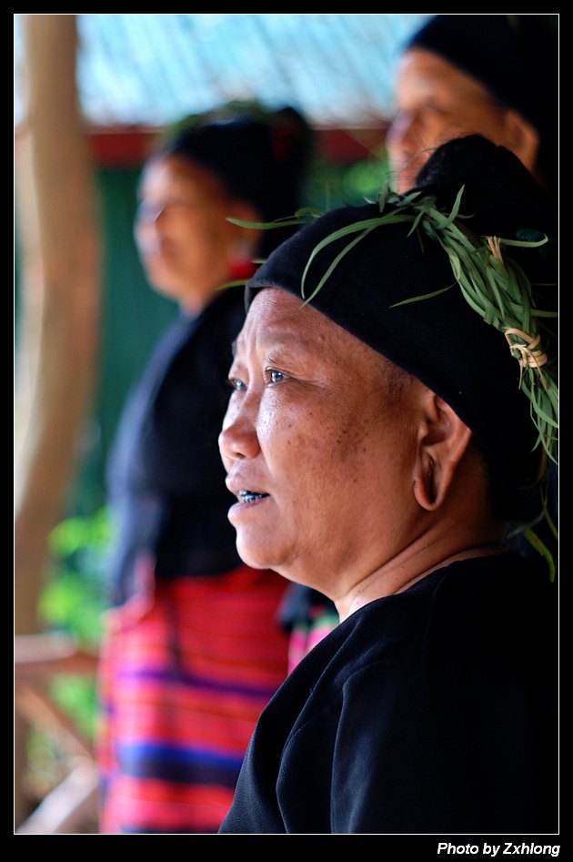 野人婆婆眼中期盼的是不                    "野人谷"?