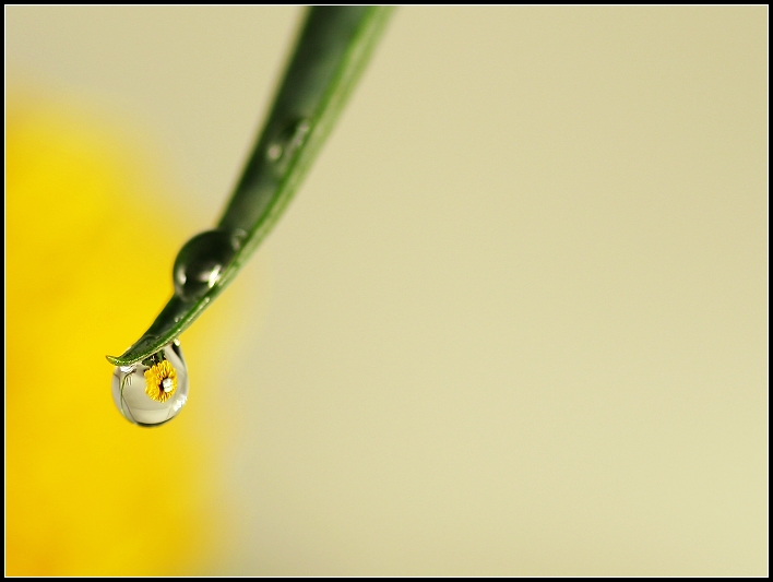 甘露-数码生活-北海365网(beihai365.com)