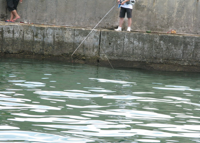 桐泾公园钓鱼图片
