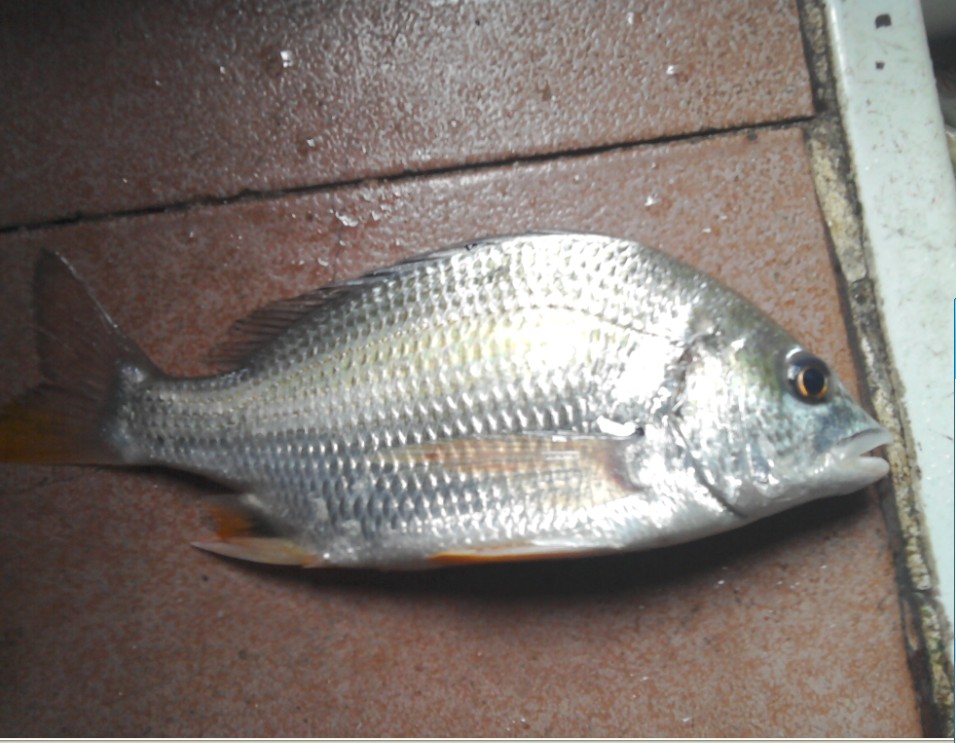 8月2号,我的解药你的毒药-鱼乐无限-北海365网(beihai365.com)