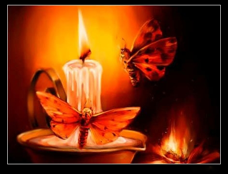 爱到飞蛾扑火是种堕落!