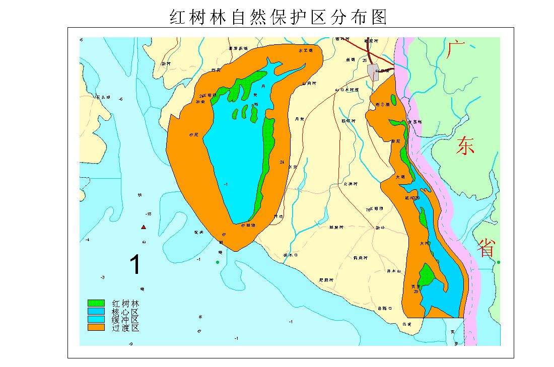 大家想不想去山口红树林看看,再顺便去沙田吃螃蟹呢