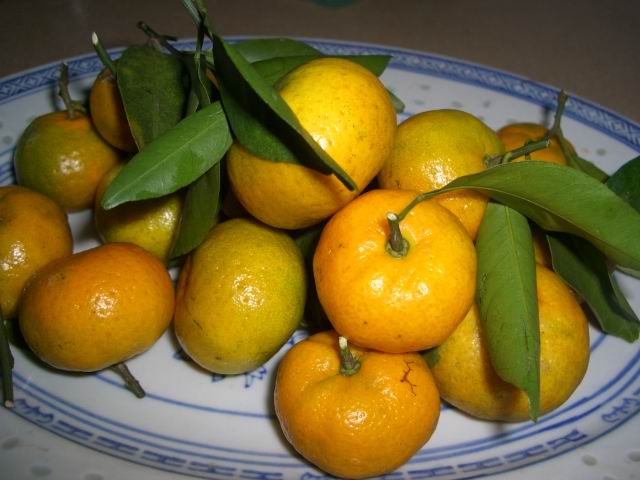 水果时间到 今天是好吃的沙田橘! 好好吃哦!