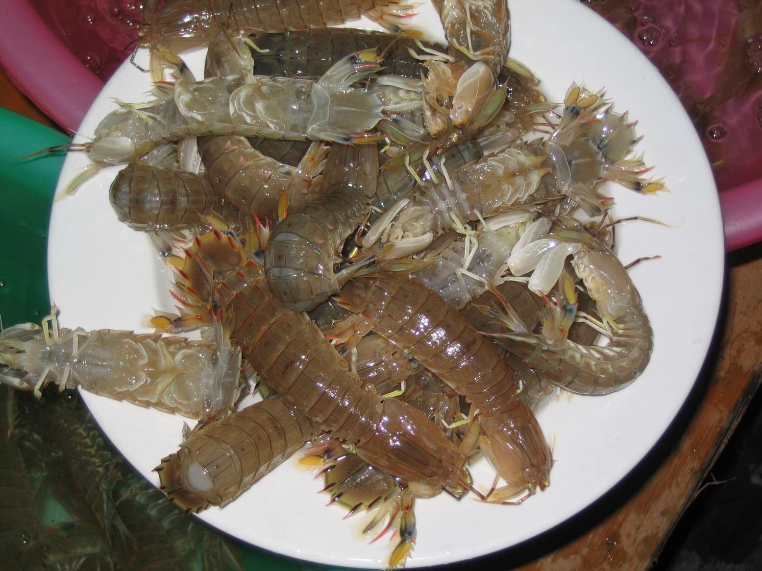 当时称了1.4斤弹虾,15元/斤,(当地土著告诉我们菜市场价为18元/斤)