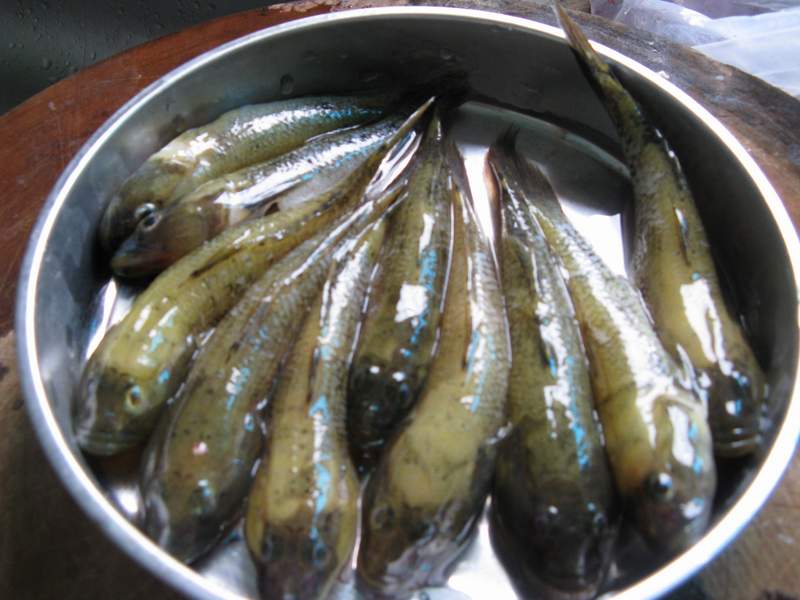 为责做煮(虾仁酿豆腐,鸡蛋马齿笕汤,白灼西兰花,清蒸仓鱼,炒三丁,蒜米