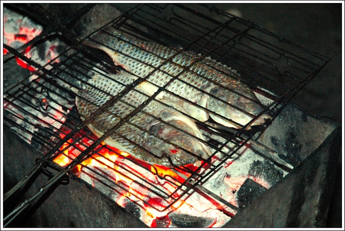 谁有兴趣去吃烤鱼,有人请客~~~(第11页有元旦那晚活动的pp)