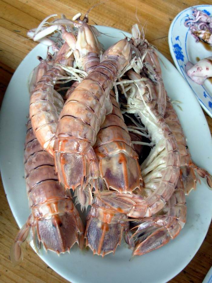 好大只,够生猛的弹虾(懒尿虾)!呵呵!你吃过吗?