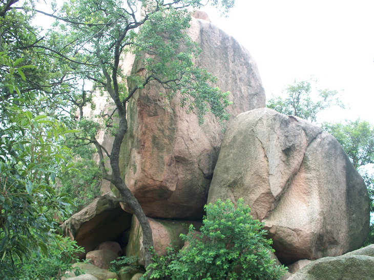 侨乡探亲之行,游台山市名胜石华山,发现闹市中幽静的茶园